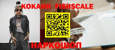 крисы Коммунар