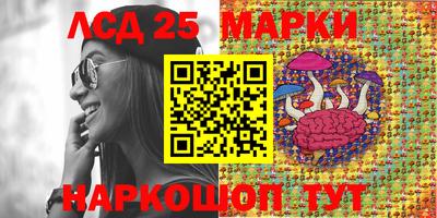 крисы Коммунар