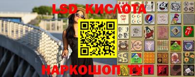 крисы Коммунар