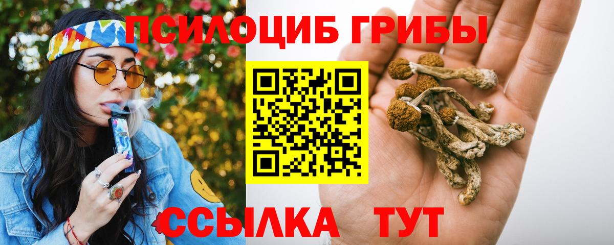 Псилоцибиновые грибы ЛСД  Вход с VPN  Галлюциногенные грибы Cubensis  купить наркотики сайты  Коломна 